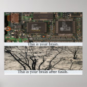 Dit is je brein. poster (Voorkant)