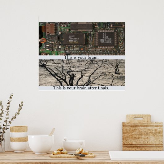 Dit is je brein. poster (Keuken)