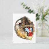 DIT IS MANDRILL BRIEFKAART (Staand voorkant)