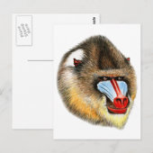 DIT IS MANDRILL BRIEFKAART (Voorkant / Achterkant)