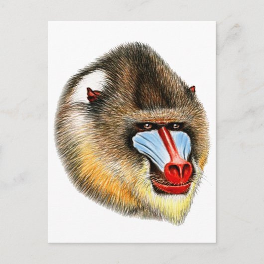 DIT IS MANDRILL BRIEFKAART (Voorkant)