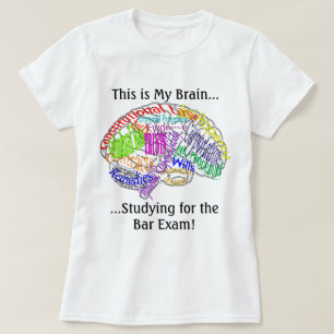 Dit is mijn brein...Bar examen T-shirt