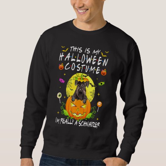 Dit is mijn halloween kostuum dat ik echt een Schn Trui (Voorkant)