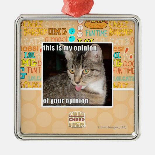 dit is mijn mening metalen ornament (Voorkant)