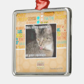 dit is mijn mening metalen ornament (Links)