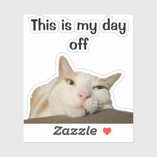 Dit is Mijn Vrije Dag Grappige Lieve Kat Sticker (Vel)