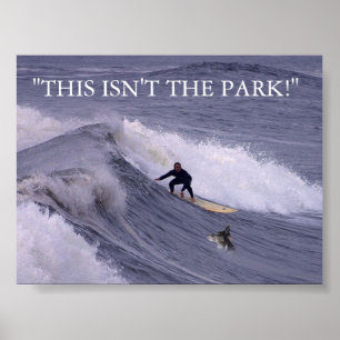 DIT IS NIET DE PARK! POSTER