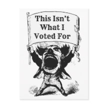 Dit is niet waar ik voor heb gestemd