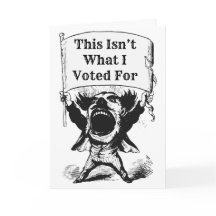 Dit is niet waar ik voor heb gestemd