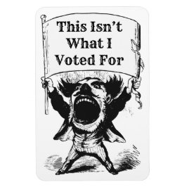 Dit is niet waar ik voor heb gestemd magneet