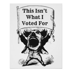 Dit is niet waar ik voor heb gestemd perfect poster