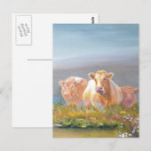 Dit is ons terrein! briefkaart (Voorkant / Achterkant)