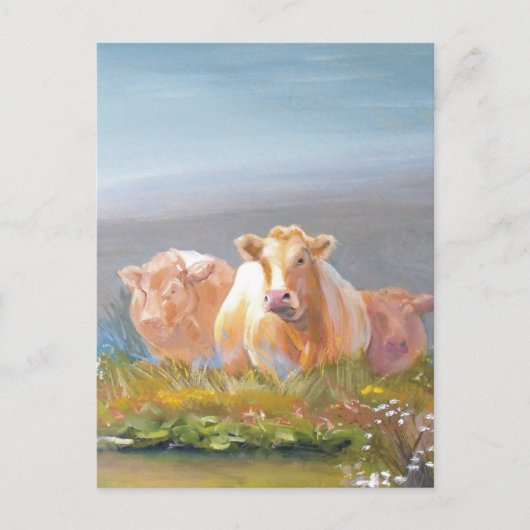 Dit is ons terrein! briefkaart (Voorkant)
