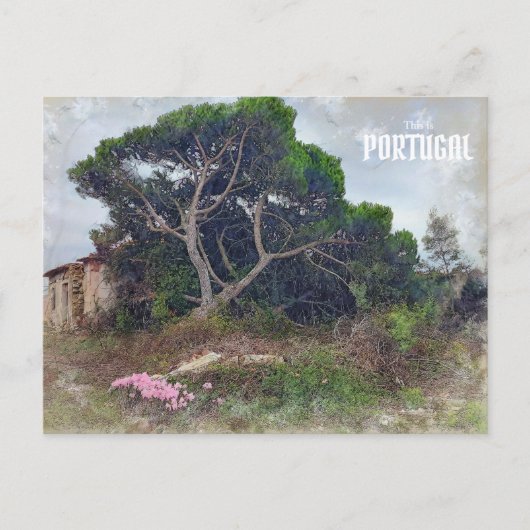 Dit is Portugal Briefkaart (Voorkant)