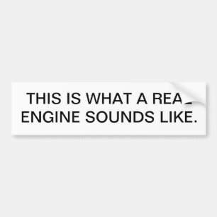 DIT IS WAT EEN ECHTE MOTOR ZONT. BUMPERSTICKER