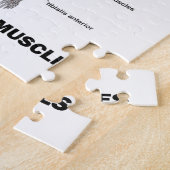 Dit is wat ik goed gedefinieerde spieren zou noeme legpuzzel (Zijkant)