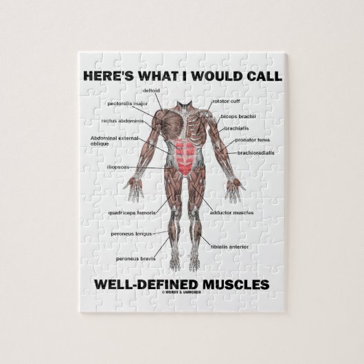 Dit is wat ik goed gedefinieerde spieren zou noeme legpuzzel (Verticaal)