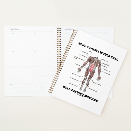 Dit is wat ik goed gedefinieerde spieren zou noeme planner (Display)