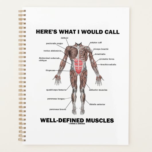 Dit is wat ik goed gedefinieerde spieren zou noeme planner (Voorkant)