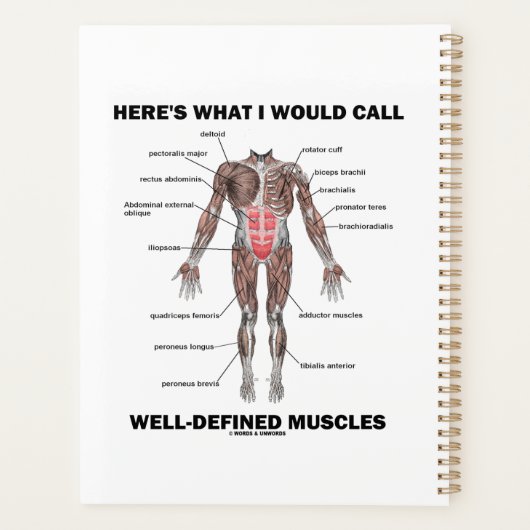 Dit is wat ik goed gedefinieerde spieren zou noeme planner (Achterkant)