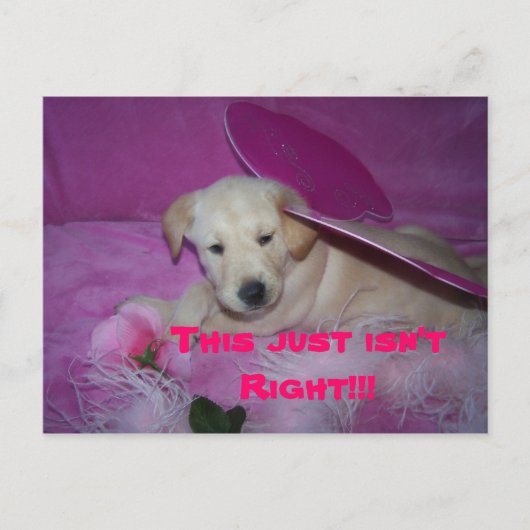 Dit is zo vernederend, dit is gewoon niet goed!!! briefkaart (Voorkant)