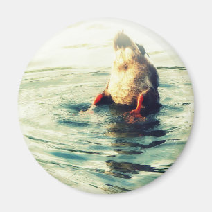 Dit komt op! Duck Butt Magneet