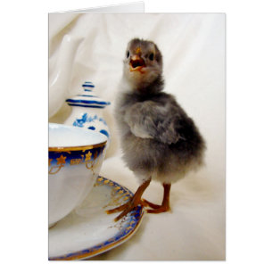 "Dit maakt geen deel uit van mijn contract" zegt d