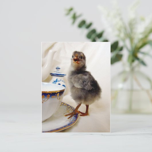 "Dit maakt geen deel uit van mijn contract" zegt d Briefkaart (Staand voorkant)