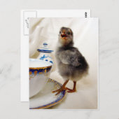 "Dit maakt geen deel uit van mijn contract" zegt d Briefkaart (Voorkant / Achterkant)