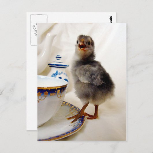 "Dit maakt geen deel uit van mijn contract" zegt d Briefkaart (Voorkant / Achterkant)