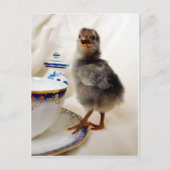 "Dit maakt geen deel uit van mijn contract" zegt d Briefkaart (Voorkant)