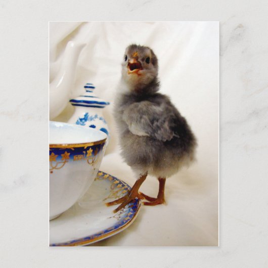 "Dit maakt geen deel uit van mijn contract" zegt d Briefkaart (Voorkant)