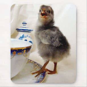 "Dit maakt geen deel uit van mijn contract" zegt d Muismat