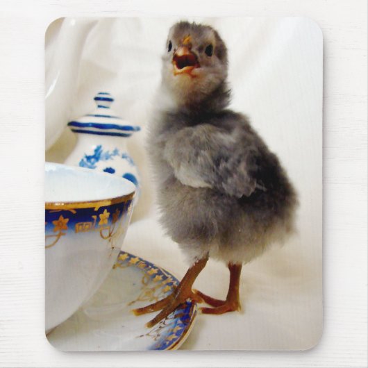 "Dit maakt geen deel uit van mijn contract" zegt d Muismat (Voorkant)