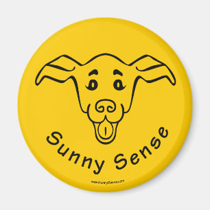 Dit moet ook worden doorgelaten met koppelmagneten magneet