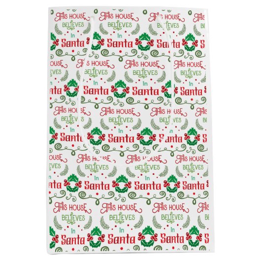 Dit Parlement gelooft in Santa Fun Green en Red Medium Cadeauzakje (Voorkant)