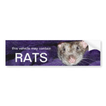 Dit voertuig kan ratten bevatten