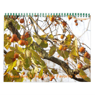 Dit zijn een paar van mijn favoriete agenda kalender