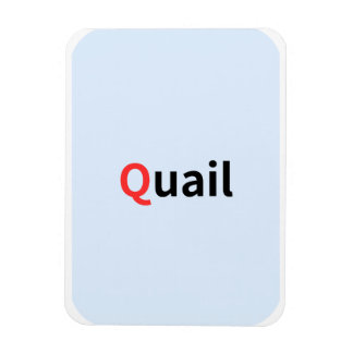 Dit zijn gekleurde alfabet flashcards. magneet