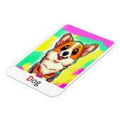 Dit zijn gekleurde alfabet flashcards. magneet (Linkerzijde)