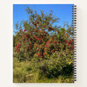 Ditch Apples Notitieboek (Achterkant)