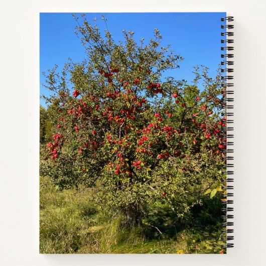 Ditch Apples Notitieboek (Achterkant)