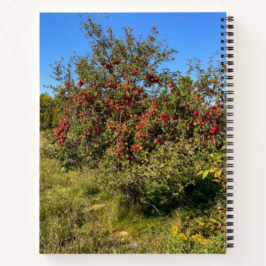 Ditch Apples Notitieboek (Achterkant)