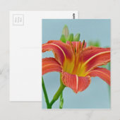 Ditch Lily Briefkaart (Voorkant / Achterkant)