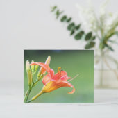 Ditch Lily Briefkaart (Staand voorkant)