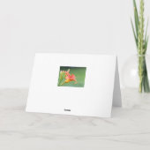 Ditch Lily Kaart (Achterkant)
