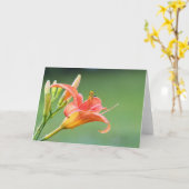 Ditch Lily Kaart (Gele Bloem)