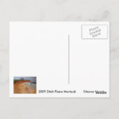 Ditch Plains Montauk Briefkaart (Achterkant)