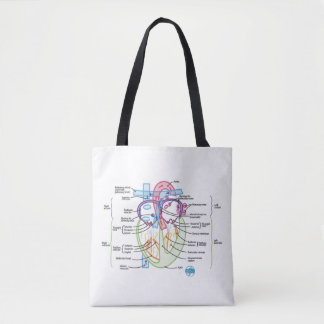 DITKI Heart Anatomy Tas