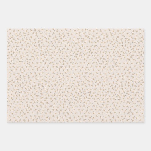 Ditsy Floral - Earthtone roest op wit cement Inpakpapier Vel (Voorkant)